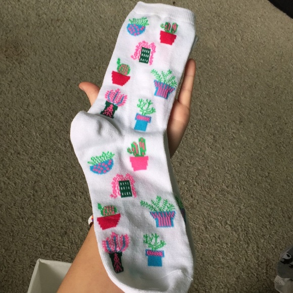 succulent socks :3 - Picture 2 of 2